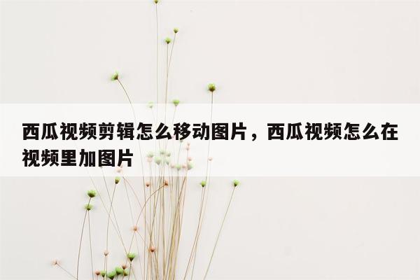 西瓜视频剪辑怎么移动图片，西瓜视频怎么在视频里加图片