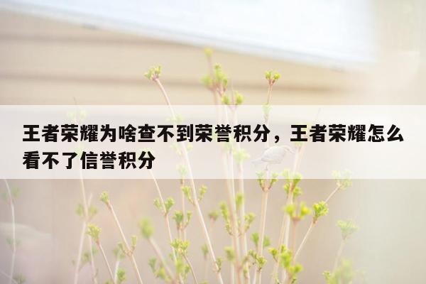 王者荣耀为啥查不到荣誉积分，王者荣耀怎么看不了信誉积分