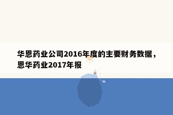 华恩药业公司2016年度的主要财务数据，恩华药业2017年报