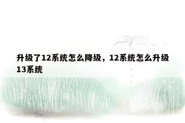 升级了12系统怎么降级，12系统怎么升级13系统