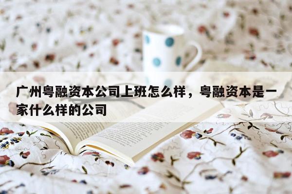 广州粤融资本公司上班怎么样，粤融资本是一家什么样的公司