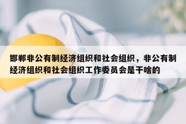 邯郸非公有制经济组织和社会组织，非公有制经济组织和社会组织工作委员会是干啥的