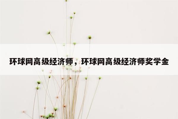 环球网高级经济师，环球网高级经济师奖学金