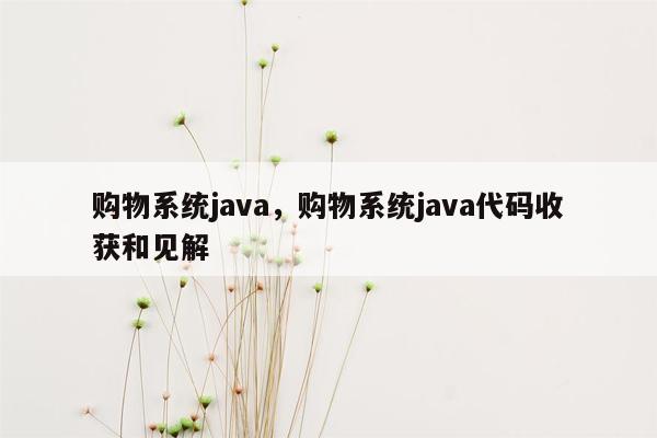 购物系统java，购物系统java代码收获和见解