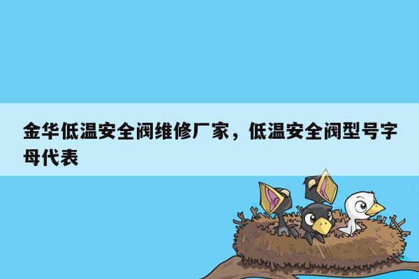 金华低温安全阀维修厂家，低温安全阀型号字母代表