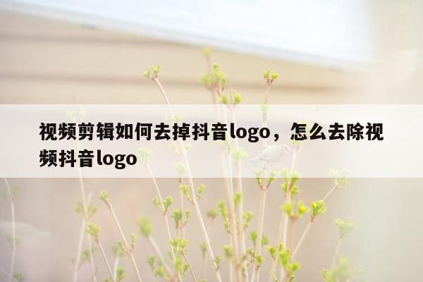 视频剪辑如何去掉抖音logo，怎么去除视频抖音logo