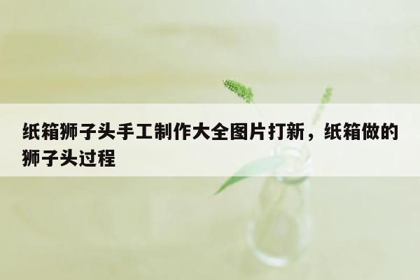 纸箱狮子头手工制作大全图片打新，纸箱做的狮子头过程