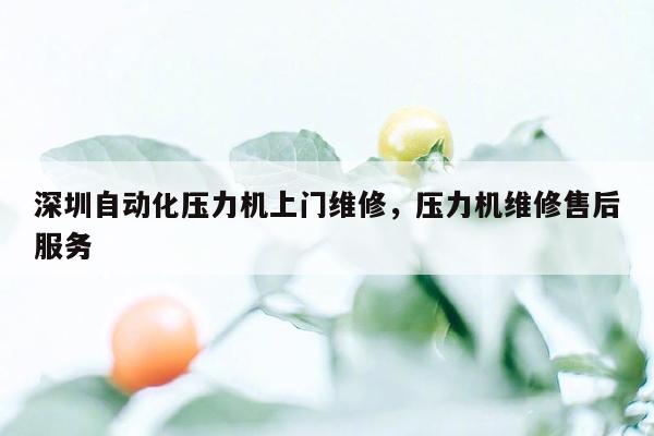 深圳自动化压力机上门维修，压力机维修售后服务