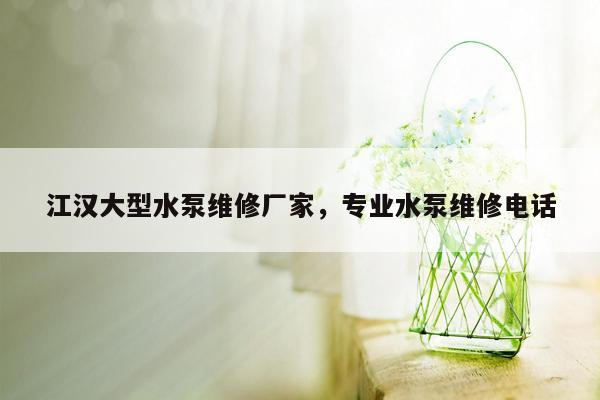 江汉大型水泵维修厂家，专业水泵维修电话