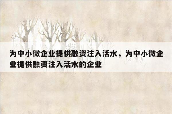 为中小微企业提供融资注入活水，为中小微企业提供融资注入活水的企业