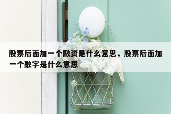 股票后面加一个融资是什么意思，股票后面加一个融字是什么意思