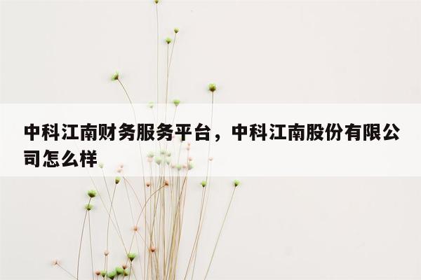 中科江南财务服务平台，中科江南股份有限公司怎么样