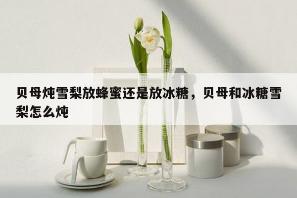 贝母炖雪梨放蜂蜜还是放冰糖，贝母和冰糖雪梨怎么炖