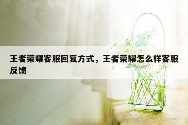 王者荣耀客服回复方式，王者荣耀怎么样客服反馈