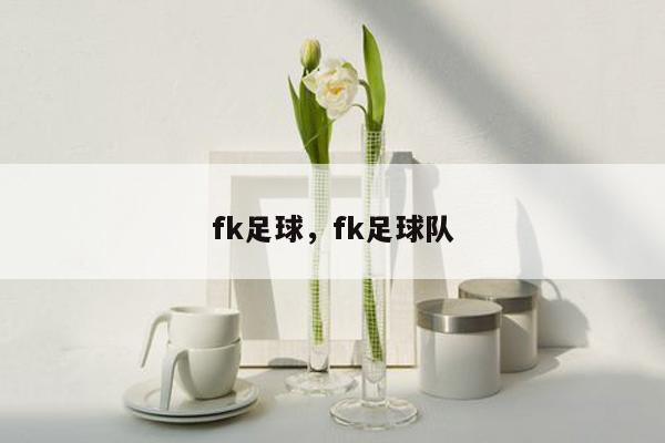 fk足球，fk足球队