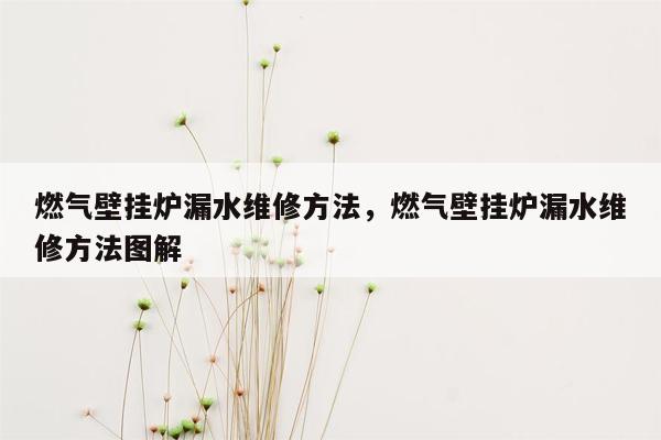 燃气壁挂炉漏水维修方法，燃气壁挂炉漏水维修方法图解