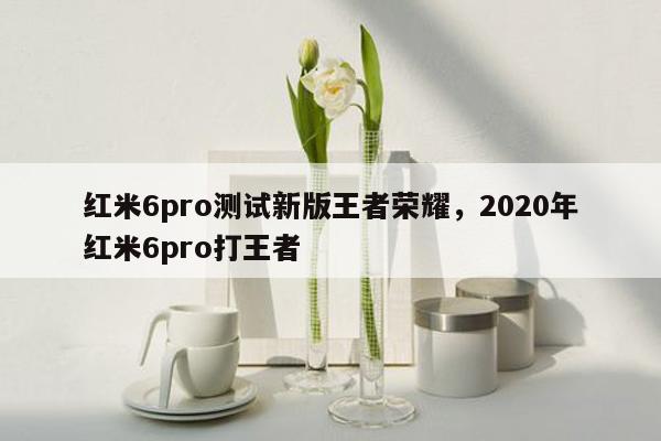 红米6pro测试新版王者荣耀，2020年红米6pro打王者