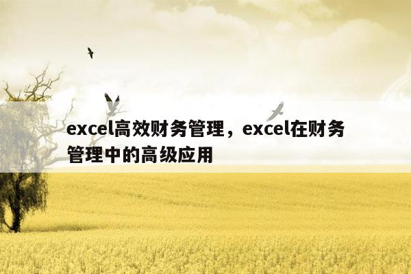 excel高效财务管理，excel在财务管理中的高级应用