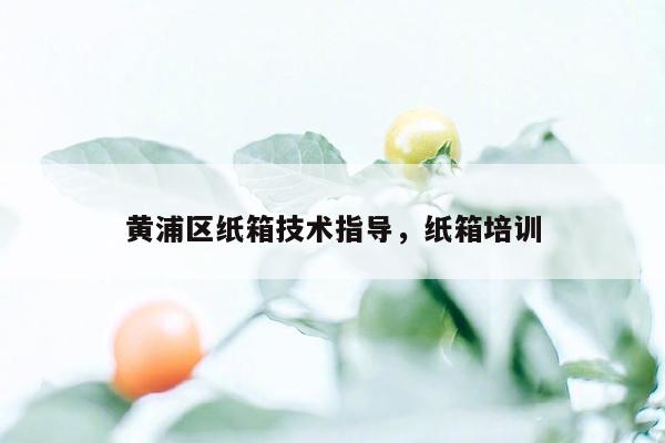 黄浦区纸箱技术指导，纸箱培训