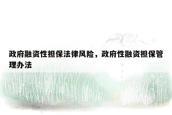 政府融资性担保法律风险，政府性融资担保管理办法