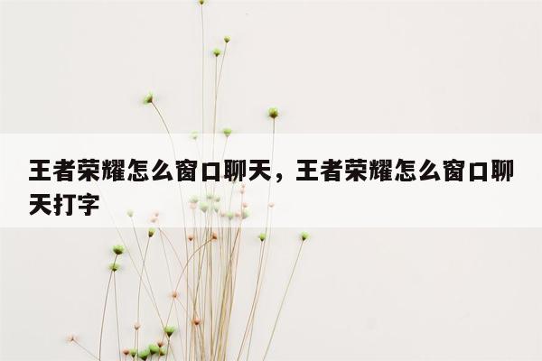 王者荣耀怎么窗口聊天，王者荣耀怎么窗口聊天打字