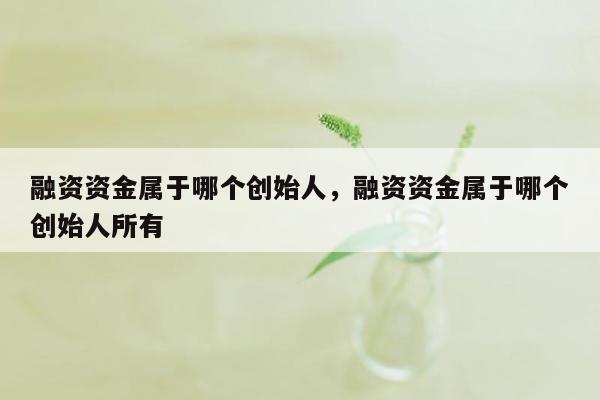 融资资金属于哪个创始人，融资资金属于哪个创始人所有