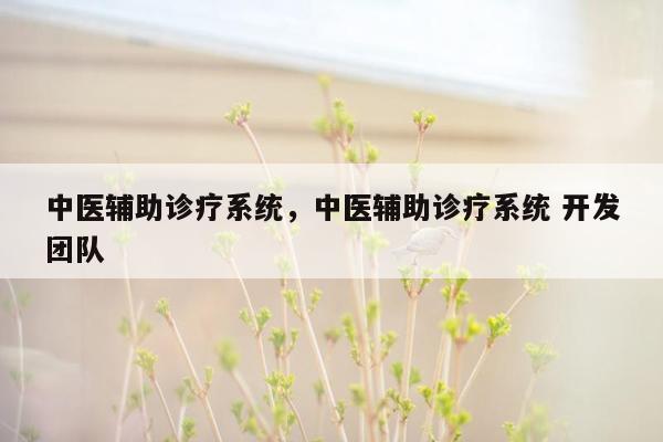 中医辅助诊疗系统，中医辅助诊疗系统 开发团队