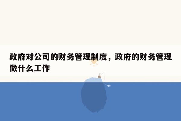 政府对公司的财务管理制度，政府的财务管理做什么工作