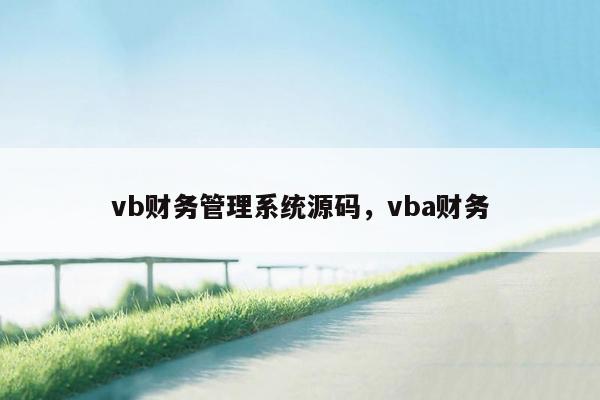 vb财务管理系统源码，vba财务