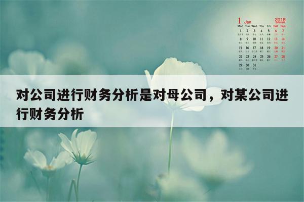 对公司进行财务分析是对母公司，对某公司进行财务分析