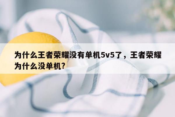 为什么王者荣耀没有单机5v5了，王者荣耀为什么没单机?