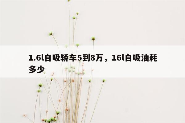 1.6l自吸轿车5到8万，16l自吸油耗多少