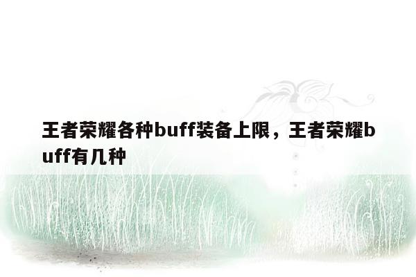 王者荣耀各种buff装备上限，王者荣耀buff有几种